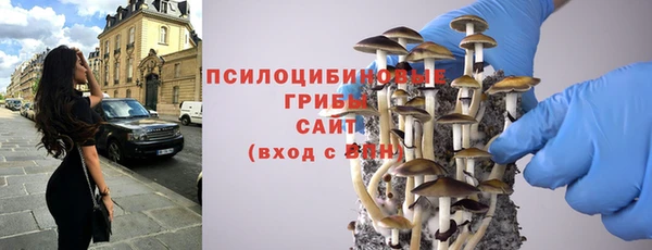 дурь Кулебаки