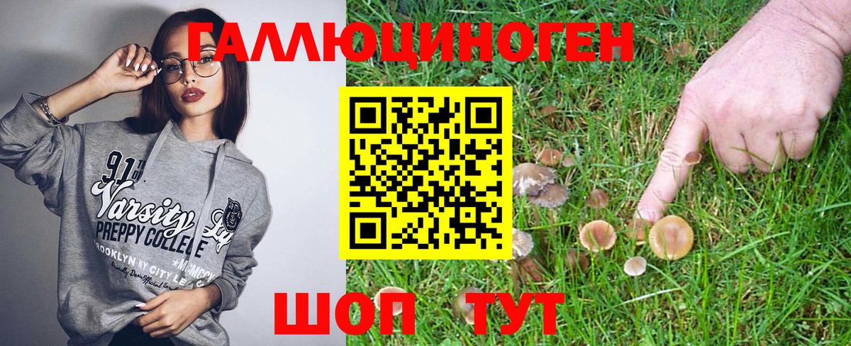 Псилоцибиновые грибы прущие грибы  Псилоцибиновые грибы GOLDEN TEACHER  Уссурийск  Вход с VPN 