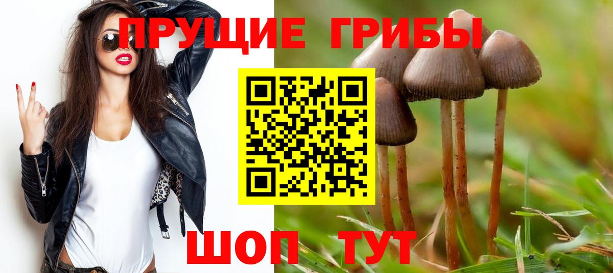 Псилоцибиновые грибы мицелий Уссурийск